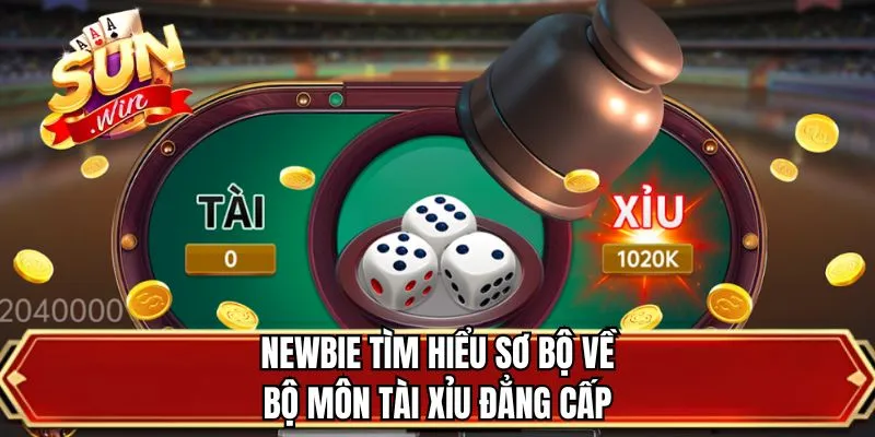Newbie tìm hiểu sơ bộ về bộ môn tài xỉu đẳng cấp
